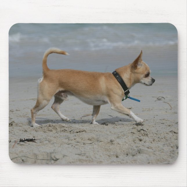 Tapis De Souris Chiwawa sur la plage (Devant)