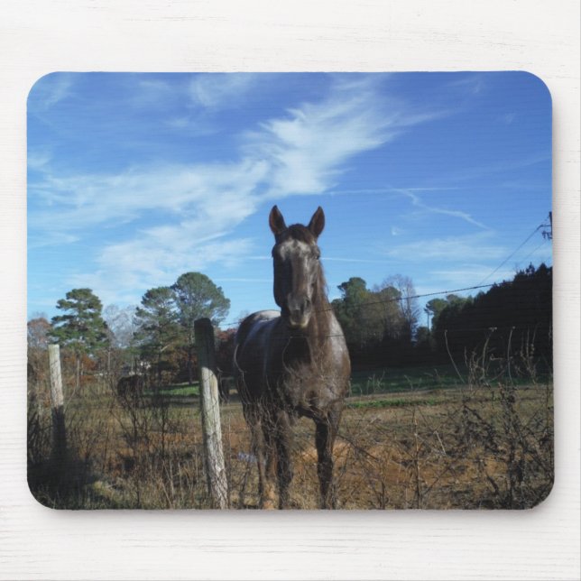 Tapis De Souris Chocolat au lait Cheval Brown en bleu (Devant)