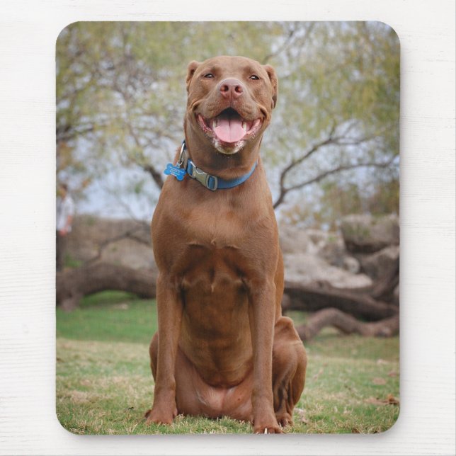 Tapis De Souris Chocolat Lab Pit Mix Chien Sourire 2 (Devant)