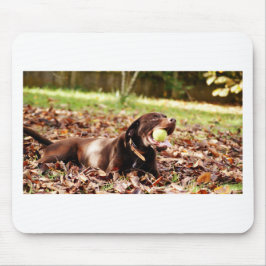 Tapis De Souris Chocolat Labrador Jouer Avec Ball