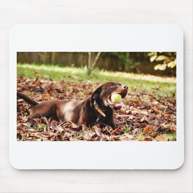 Tapis De Souris Chocolat Labrador Jouer Avec Ball (Devant)