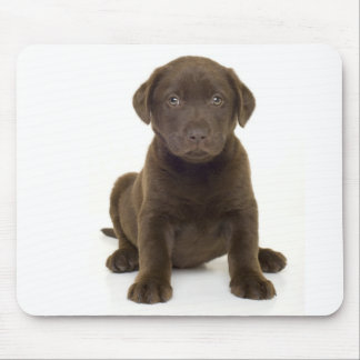 Tapis De Souris Chocolat Labrador Mousepad