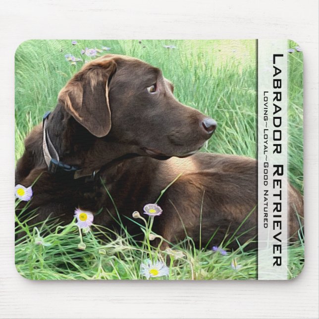 Tapis De Souris Chocolat Labrador Retriever Chasse Chien Photo (Devant)