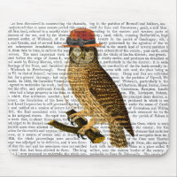 Chouette avec Casquette Bowler style Steampunk