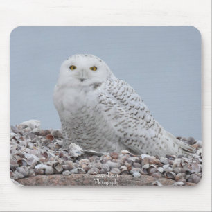 Tapis De Souris Chouette des neiges sur coquilles