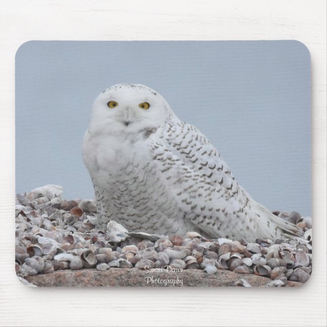 Tapis De Souris Chouette des neiges sur coquilles (Devant)