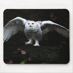 Tapis De Souris Chouette neige avec ailes ouvertes mpcn