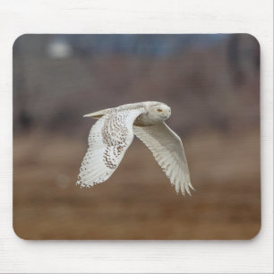 Tapis De Souris Chouette neige en vol