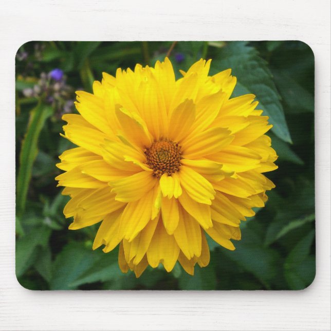 Tapis De Souris Chrysanthème jaune (Devant)