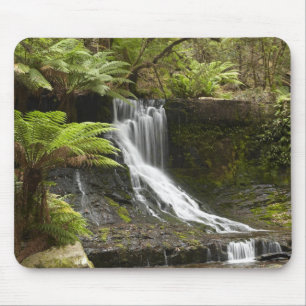 Tapis De Souris Chutes Horseshoe, parc national Mount Field,
