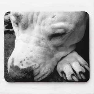 Tapis De Souris cicatrice de harry potter chien pit bull blanc