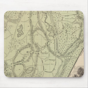 Tapis De Souris Cimetière de Woodlawn