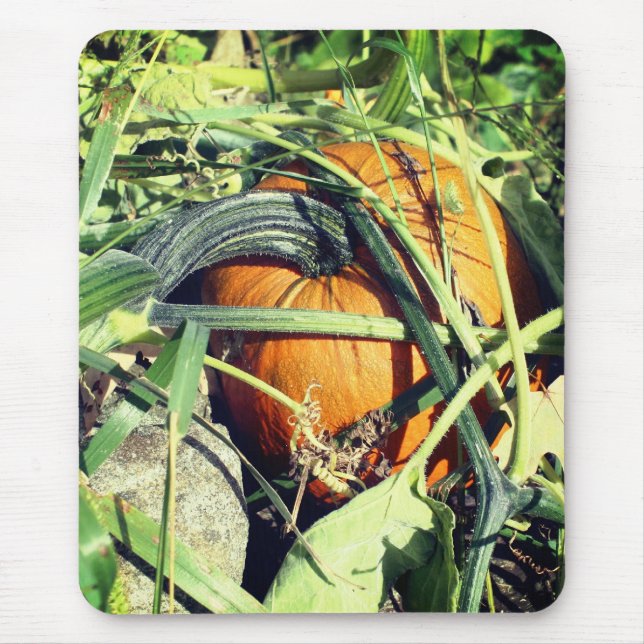 Tapis De Souris Citrouille Sur La Vigne Nature (Devant)