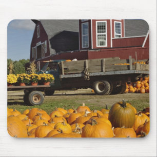Tapis De Souris Citrouilles à la ferme en automne près d'accord,