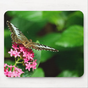 Tapis De Souris Clipper on Pentas 2 Mousepad