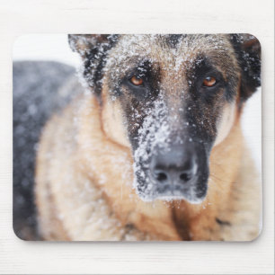 Tapis De Souris Closeup De Berger Allemand Couvert De Neige