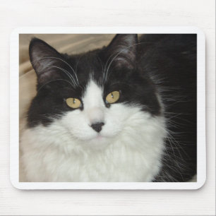 Tapis De Souris Closeup de chat noir et blanc
