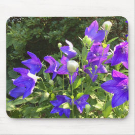 Tapis De Souris Cluster Campanula (Fleurs Bleues) —