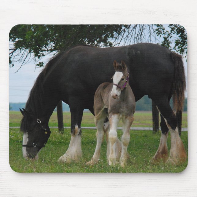 Tapis De Souris Clydesdale noir et pouliche (Devant)