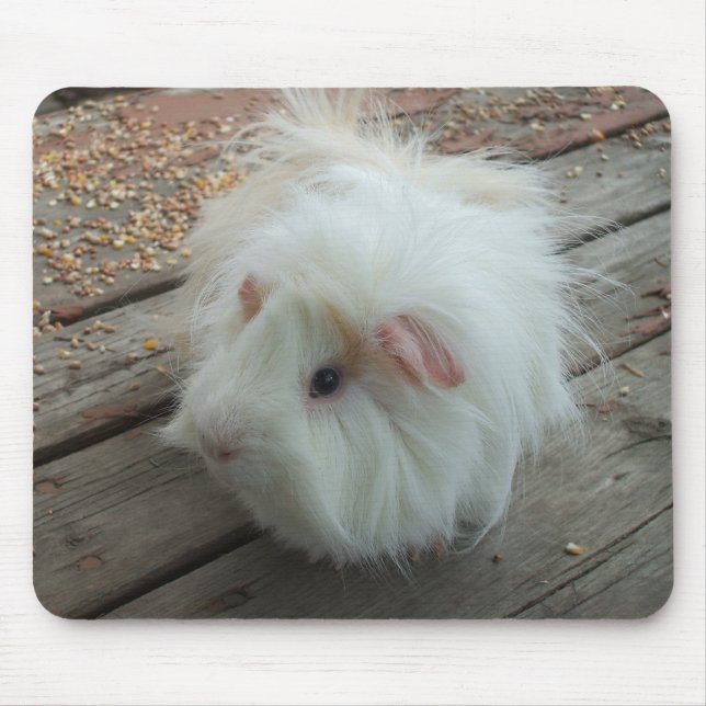 Tapis De Souris Cobaye Mousepad (Devant)