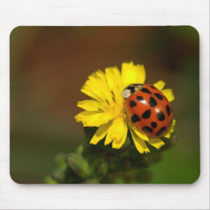 Tapis De Souris Coccinelle
