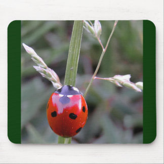 Tapis De Souris Coccinelle Mousepad