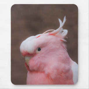 Tapis De Souris Cockatoo rose
