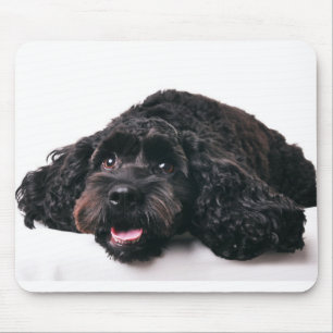 Tapis De Souris cocker poodé mélange chiot mousepad