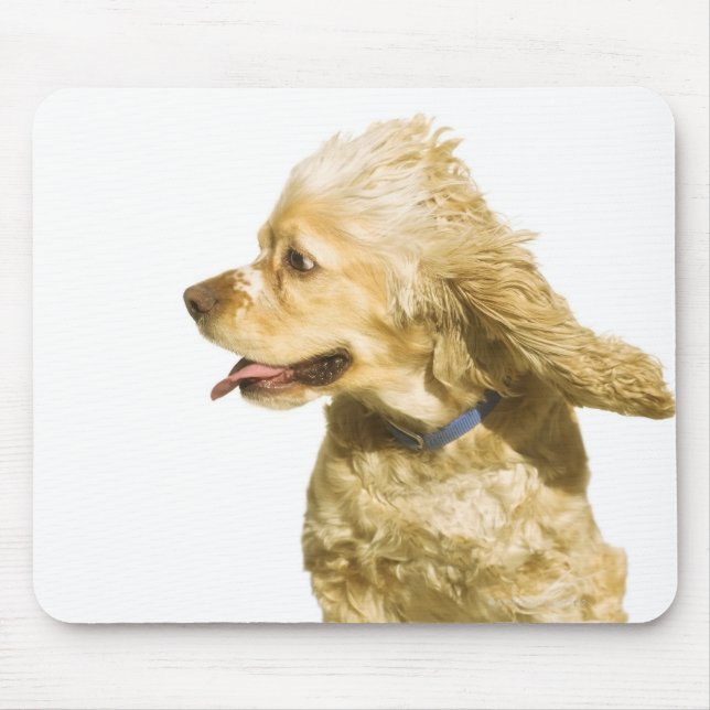 Tapis De Souris Cocker Spaniel (Devant)