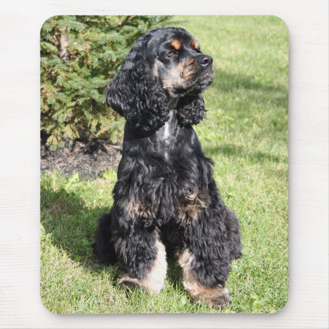 Tapis De Souris Cocker Spaniel Photo (Devant)
