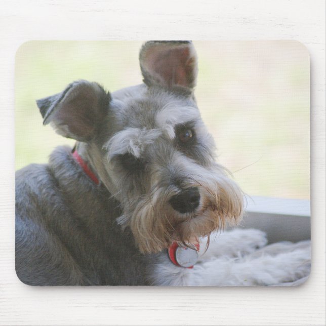 Tapis De Souris Cocos, mini mousepad de Schnauzer (Devant)