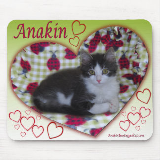 Tapis De Souris Coeur à deux jambes KittyMousepad de coccinelle de