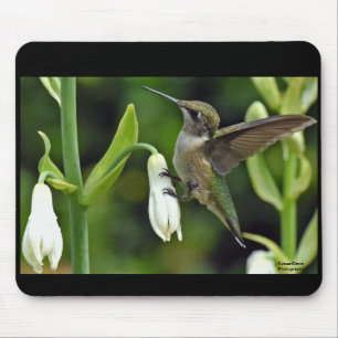 Tapis De Souris Colibri