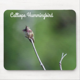 Tapis De Souris Colibri
