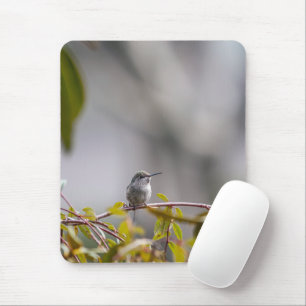 Tapis De Souris Colibri 3346