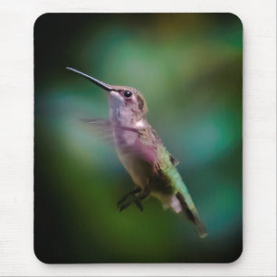 Tapis De Souris Colibri à gorge rubis - Photo originale