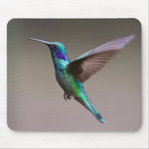Tapis De Souris Colibri en vol