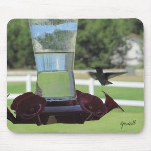 Tapis De Souris Colibri et conducteur assoiffés