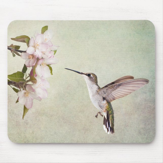 Tapis De Souris Colibri et fleurs de printemps (Devant)