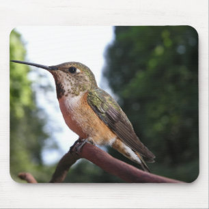 Tapis De Souris Colibri roux femelle - Mousepad