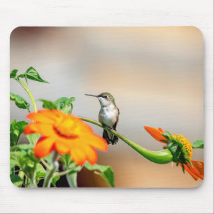 Tapis De Souris Colibri sur un plante à fleurs