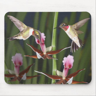 Tapis De Souris Colibris et fleurs
