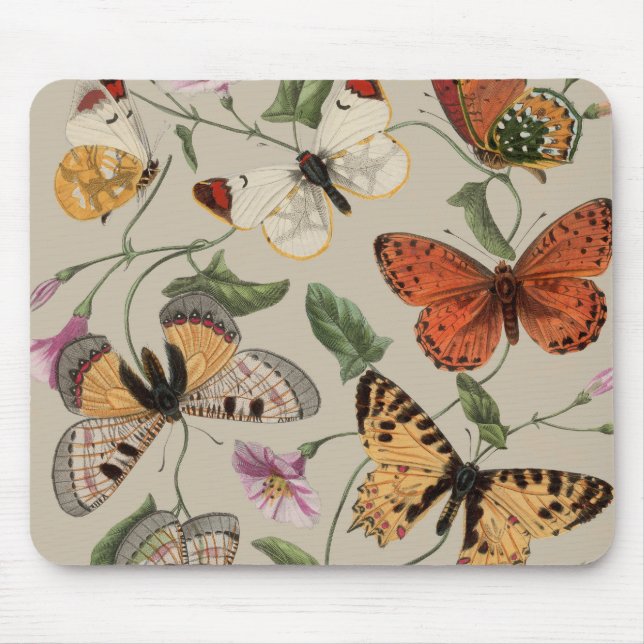 Tapis De Souris Collection de la papillon Moth Nature Dessin (Devant)