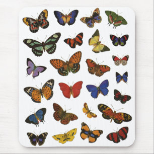 Tapis De Souris Collection papillon