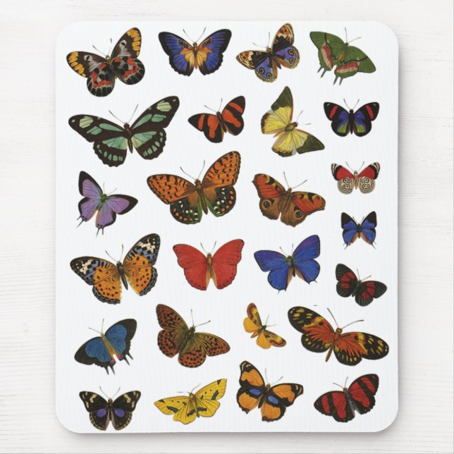 Tapis De Souris Collection papillon (Devant)