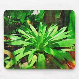 Tapis De Souris collection tropicale de feuillage, Fairchild g