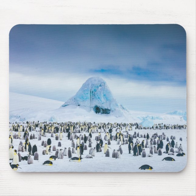 Tapis De Souris Colonie de pingouin d'empereur (Devant)