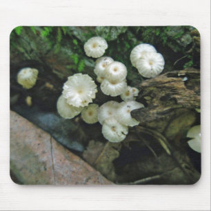 Tapis De Souris Colonie minuscule de champignons cramponnés Mousep