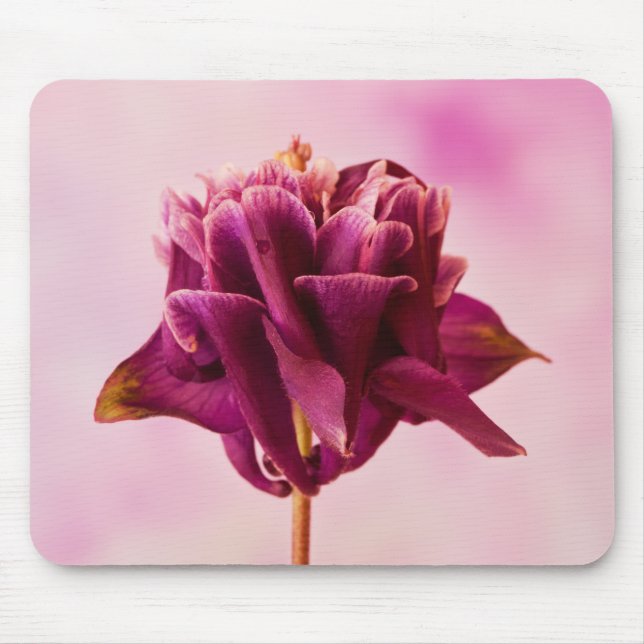 Tapis De Souris Colonne rose de Bourgogne (Devant)