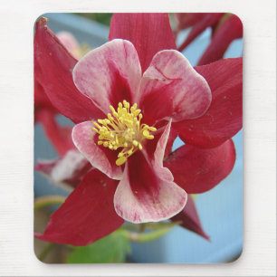 Tapis De Souris Columbine Flower